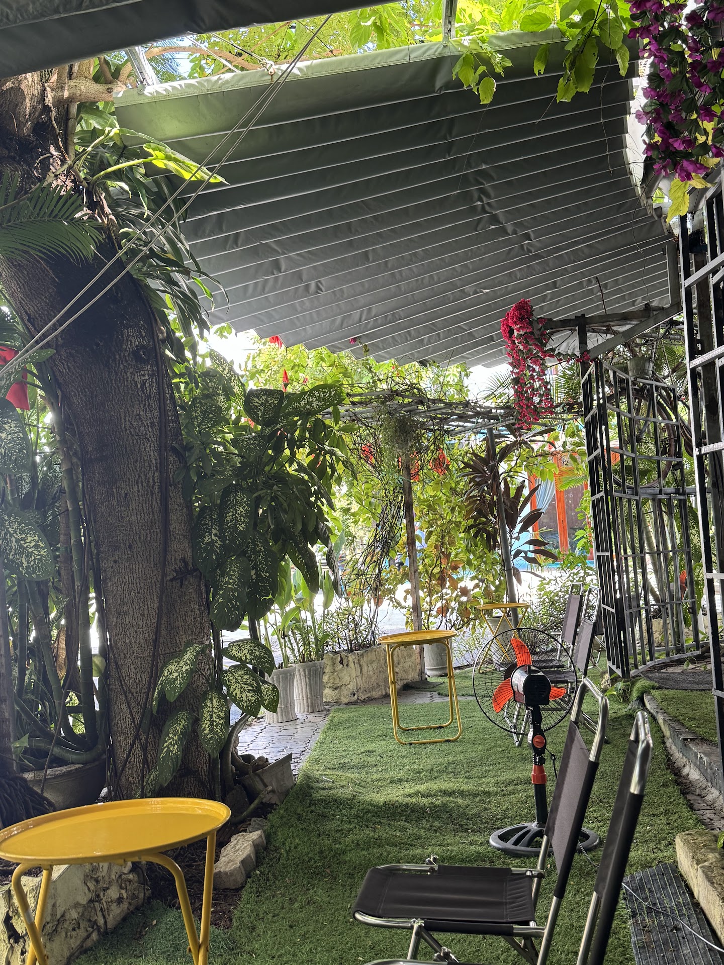 Quán cà phê sạch- ngon- rẻ- thoáng mát Góc Phố