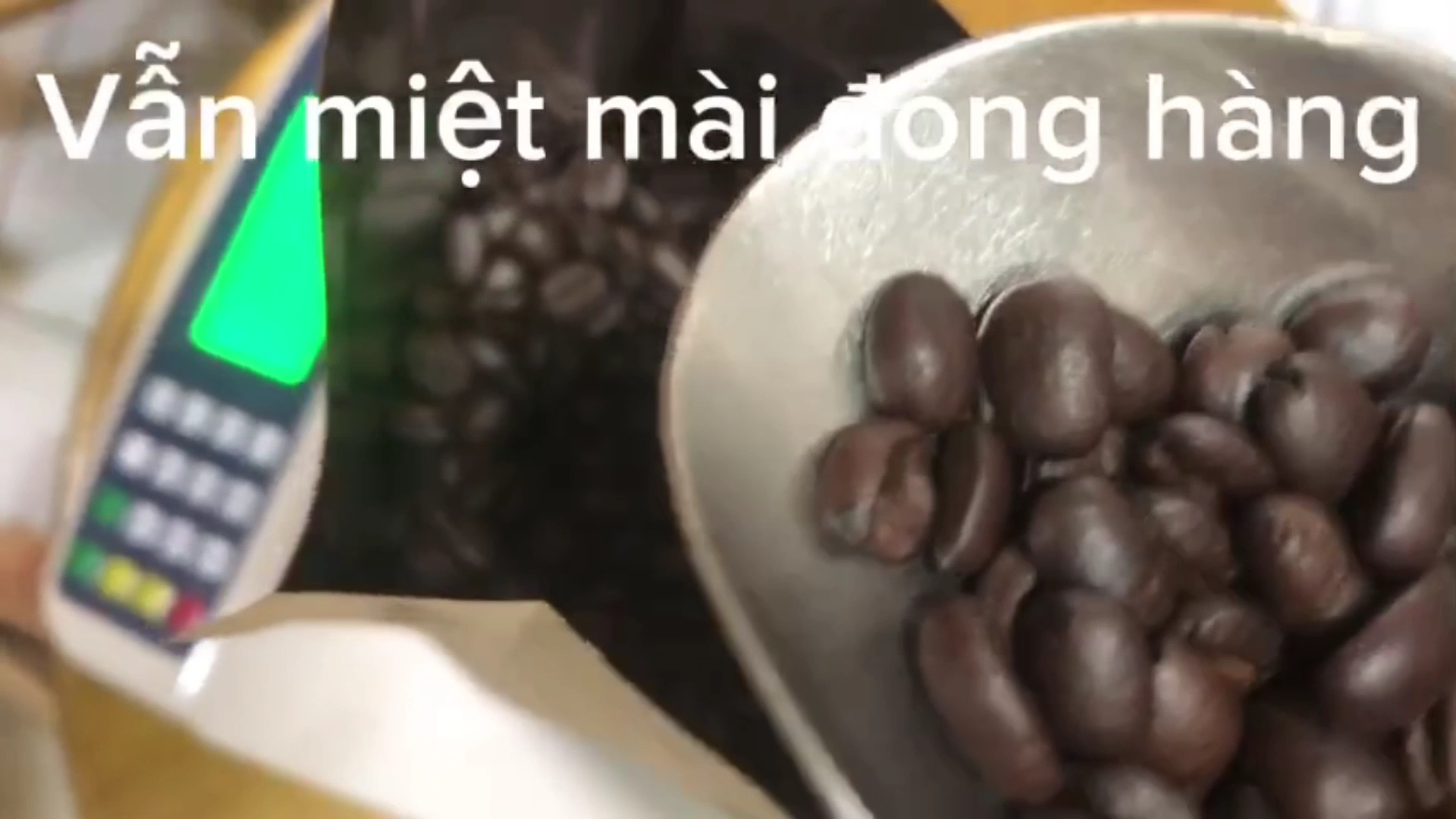 WE ALL COFFEE CHUYÊN CUNG CẤP SỈ LẺ CÀ PHÊ NGUYÊN CHẤT GIÁ TỐT NHẤT