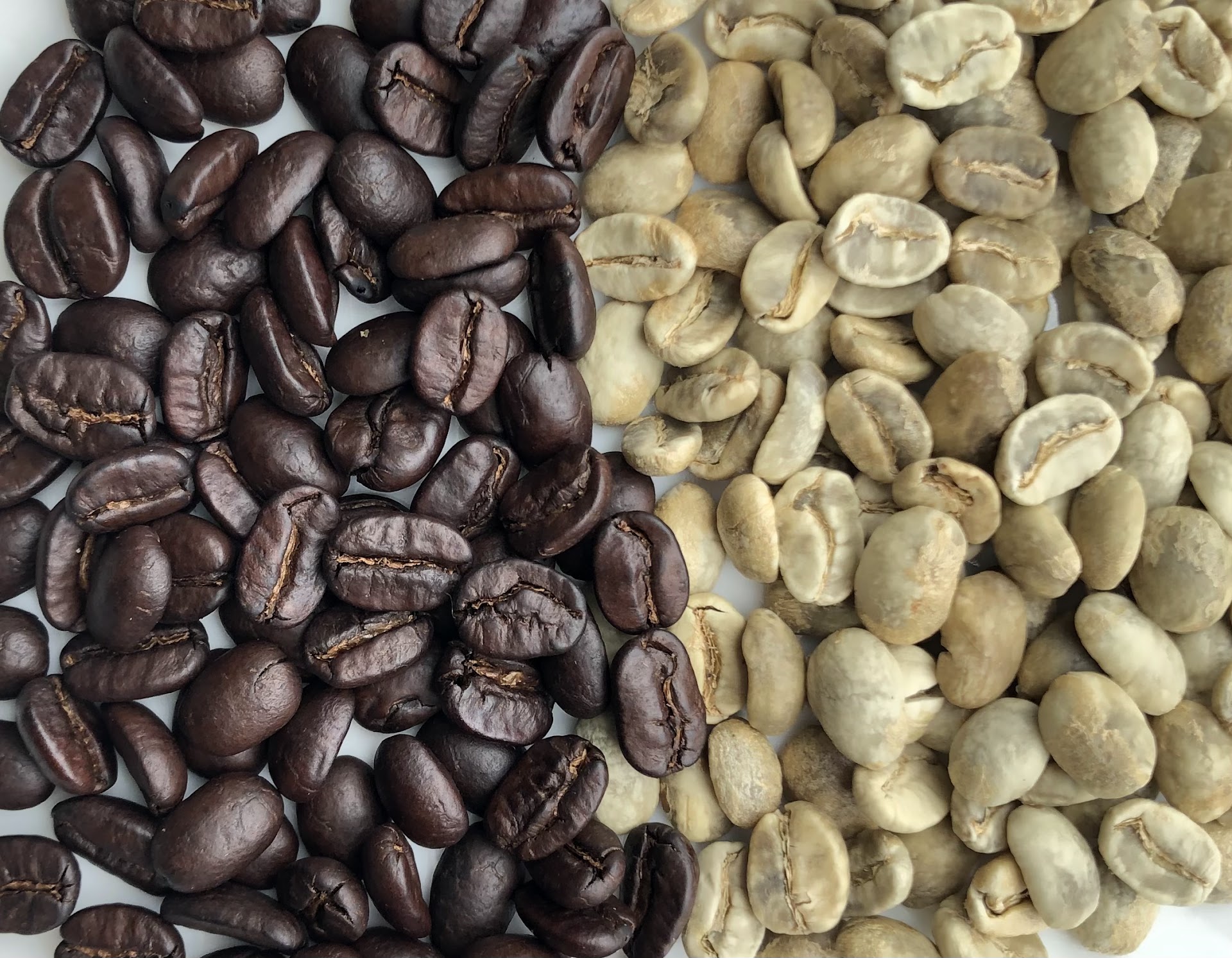 WE ALL COFFEE CHUYÊN CUNG CẤP SỈ LẺ CÀ PHÊ NGUYÊN CHẤT GIÁ TỐT NHẤT