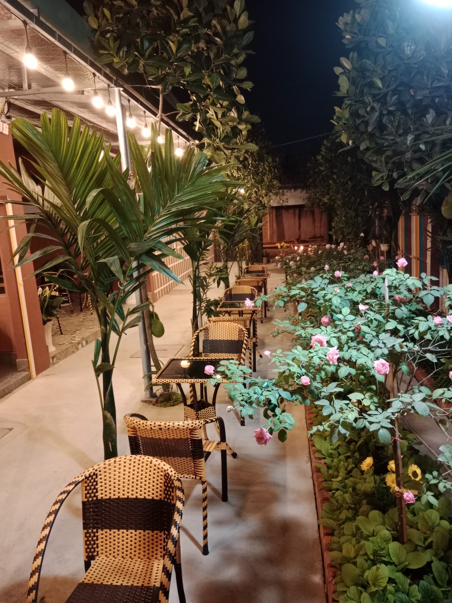 Coffee Time Huỳnh Bá Chánh