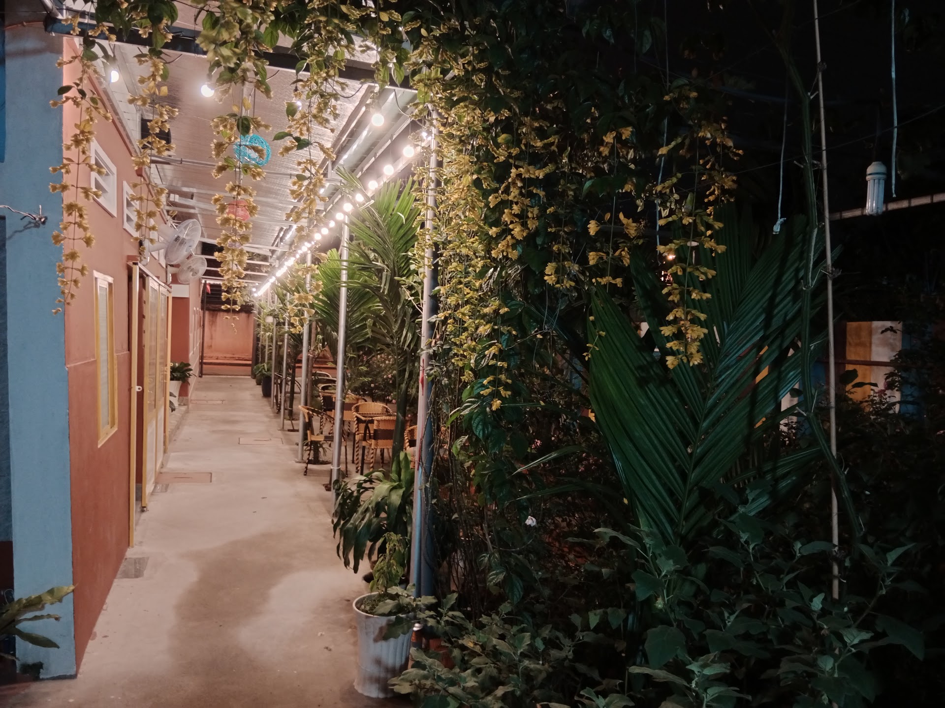 Coffee Time Huỳnh Bá Chánh