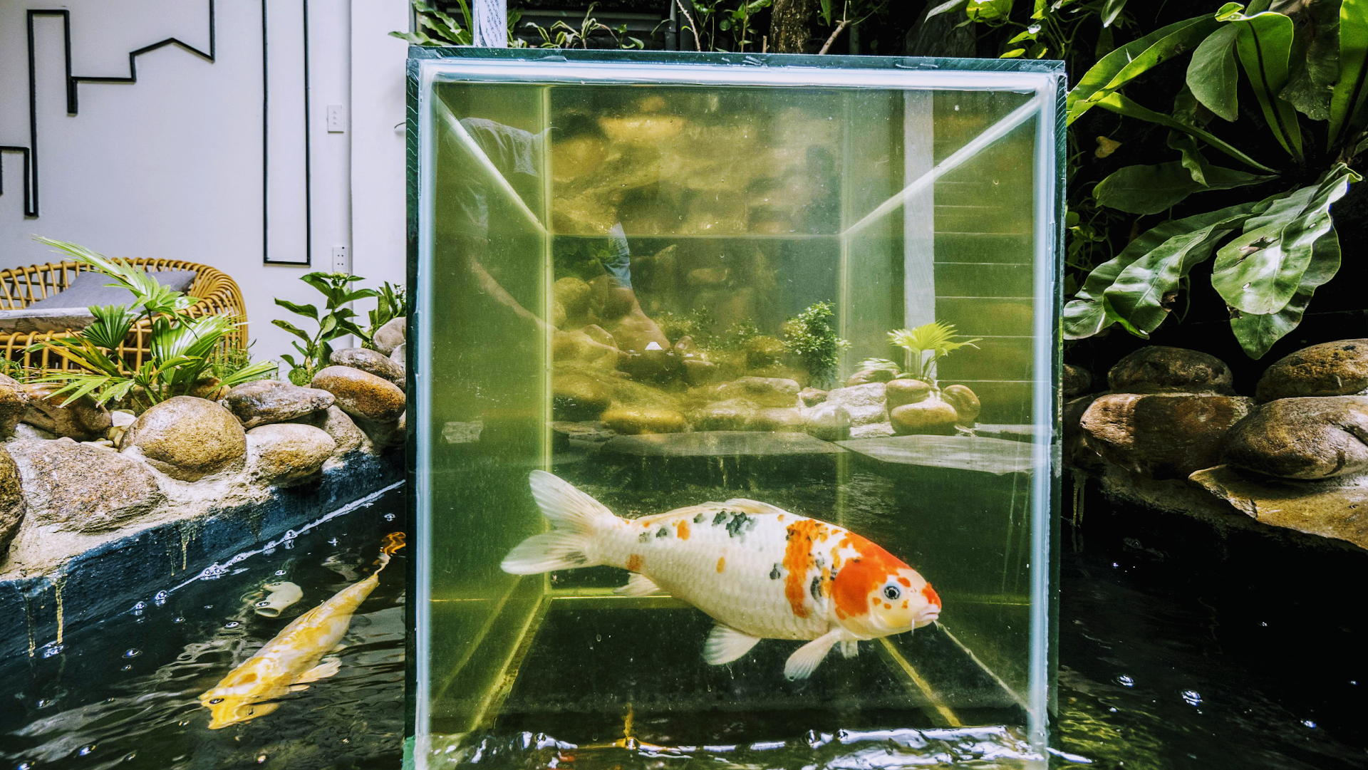 Ribo Coffee - Quán Cafe Đẹp Đà Nẵng