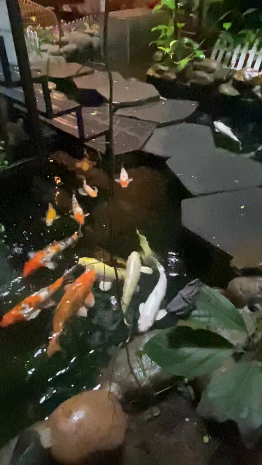 Ribo Coffee - Quán Cafe Đẹp Đà Nẵng