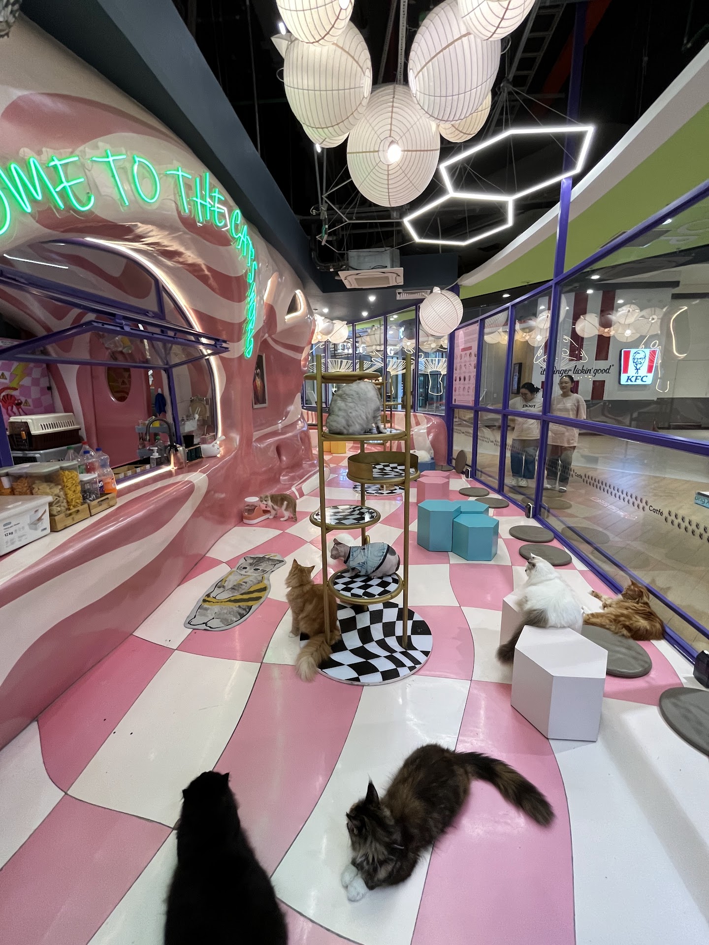 Cafe mèo CATFE Aeon Bình Tân