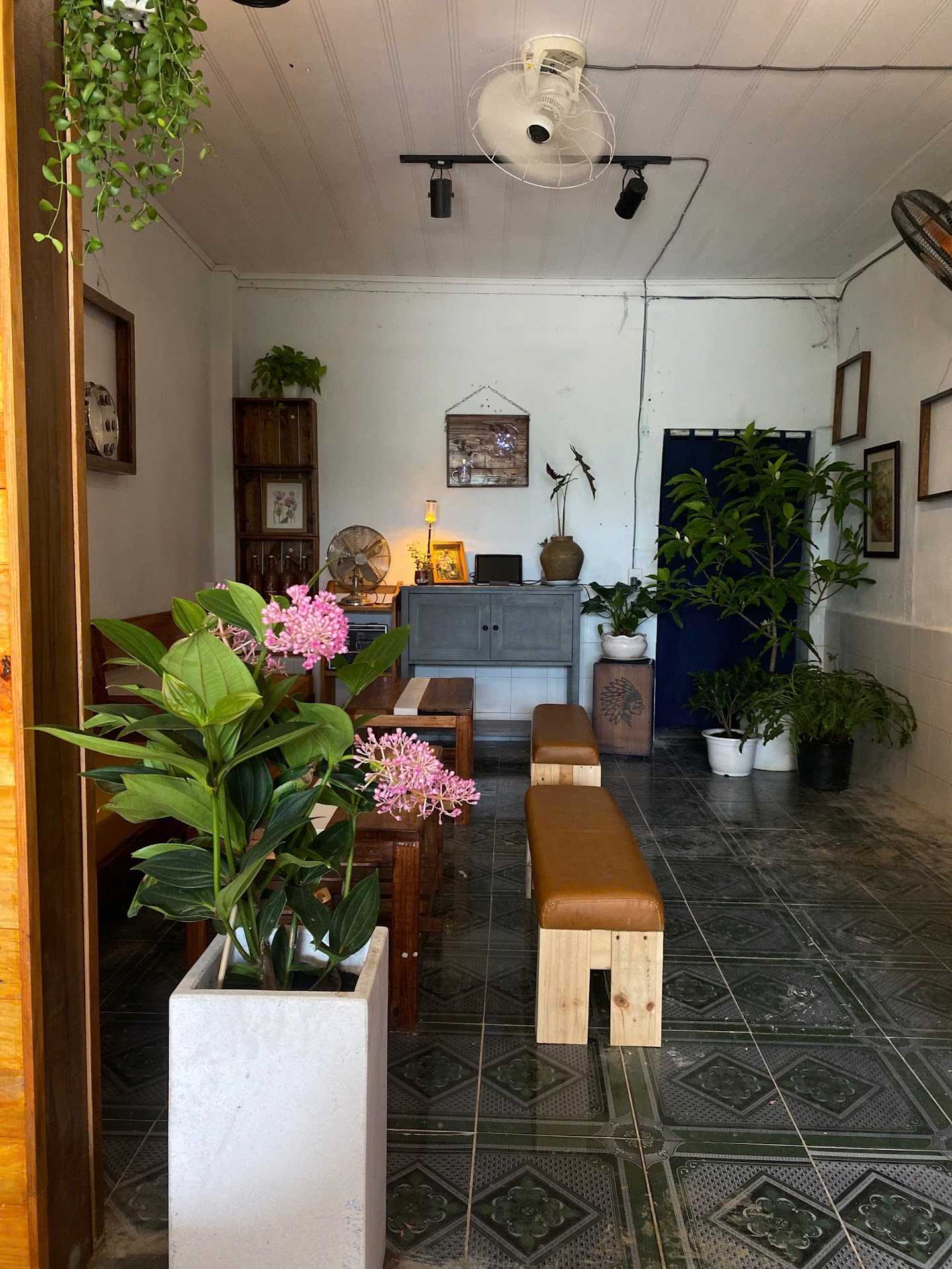 TRÀ - CÀ PHÊ O LYN