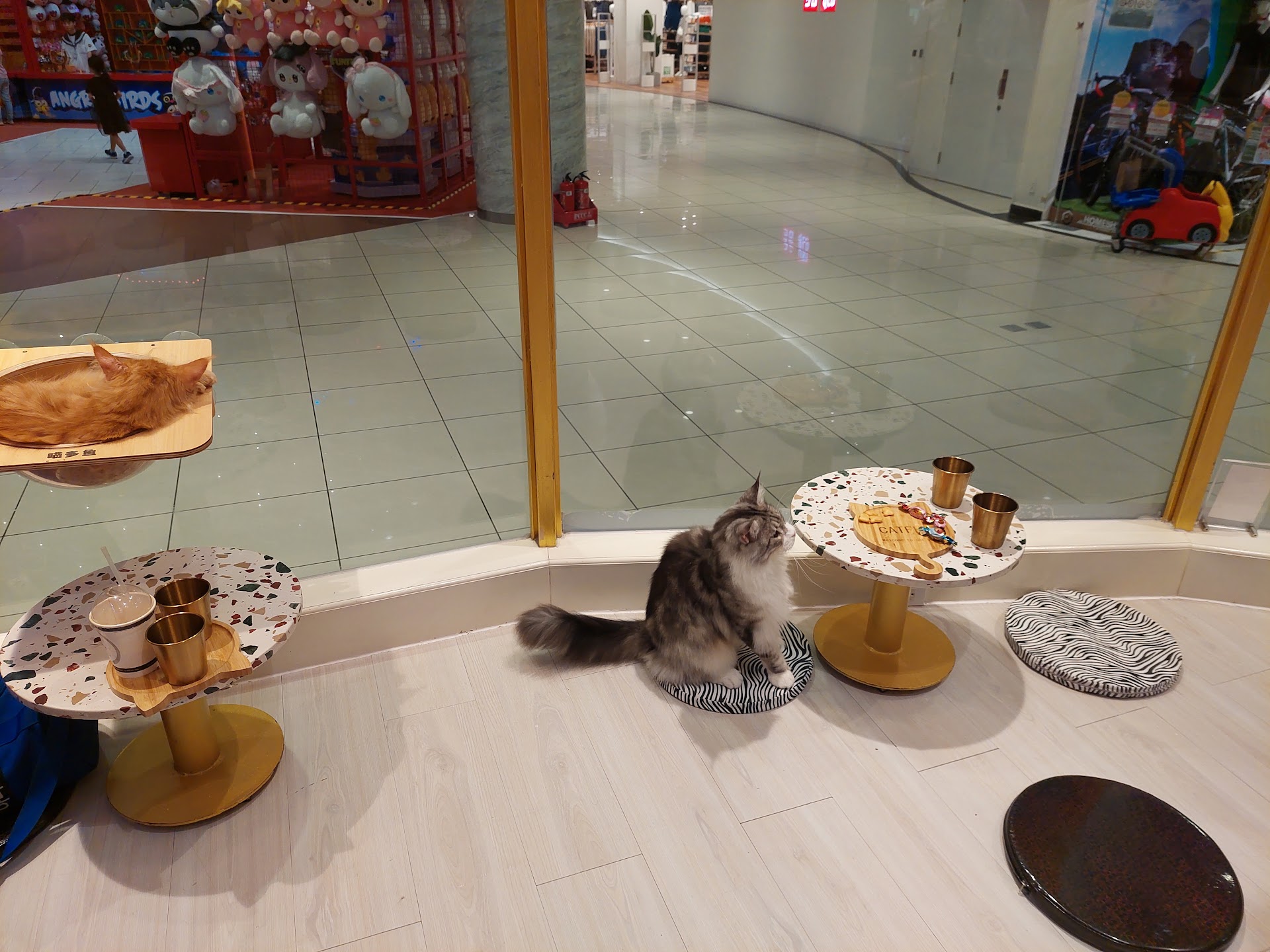 CATFE cat cafe - Aeon Tân Phú