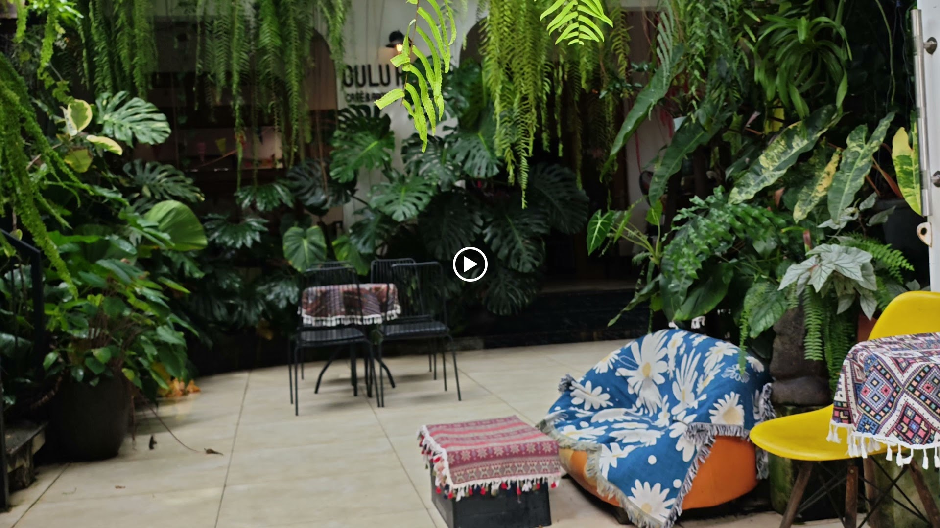 Gulu Home cafe & aroids