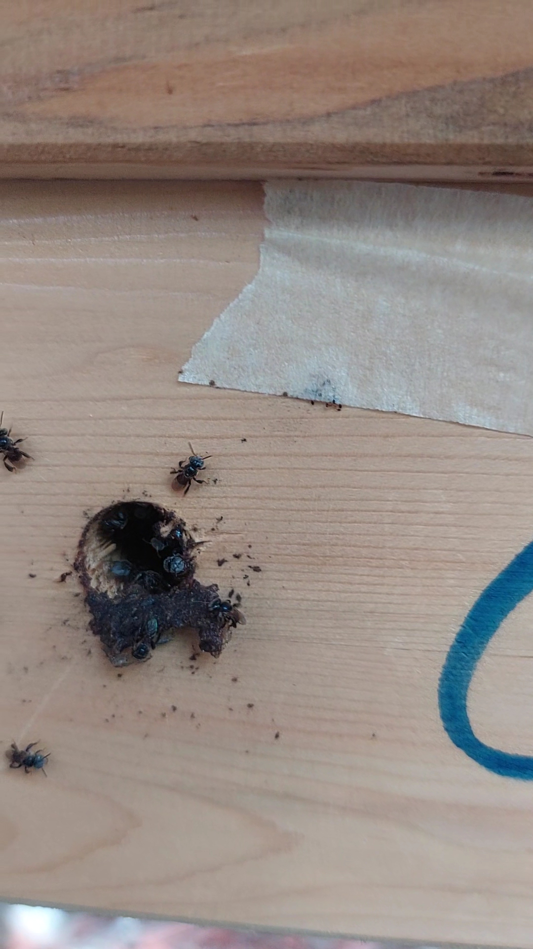 DIỆU COFFEE AND TEA