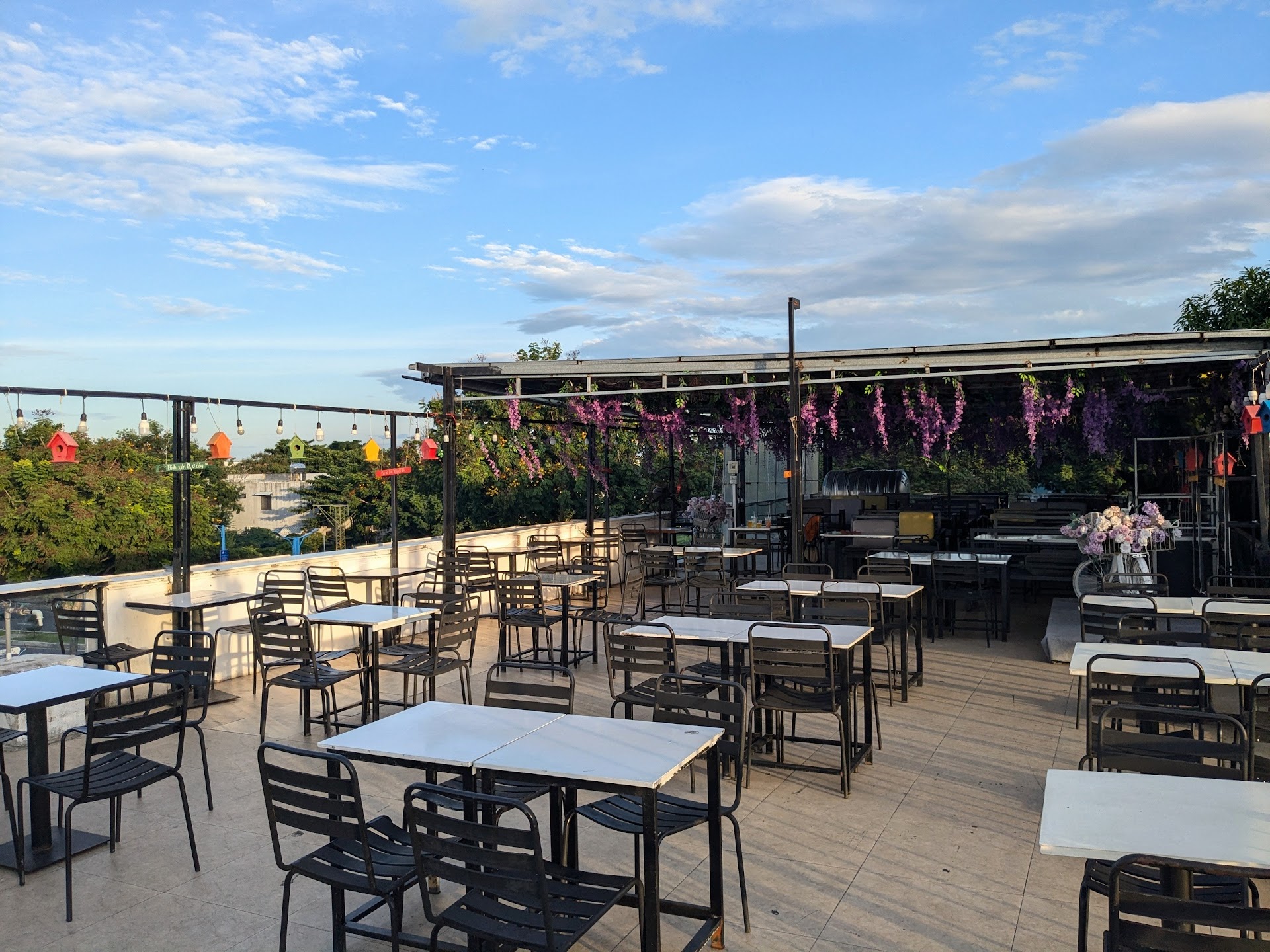 Cà phê ngắm máy bay - Pig coffee