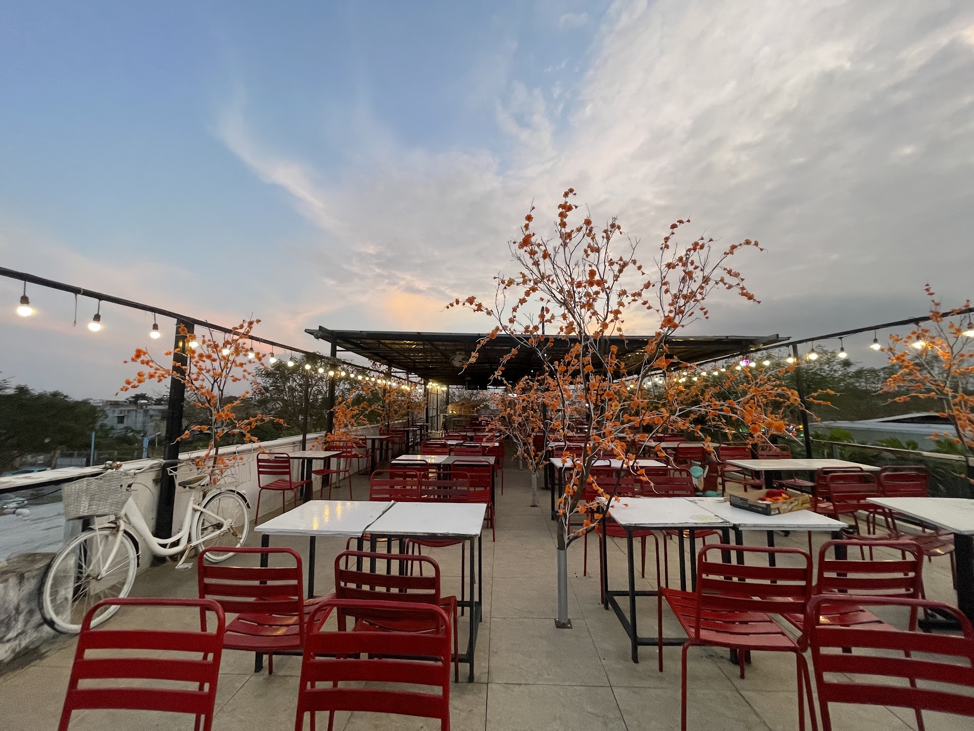 Cà phê ngắm máy bay - Pig coffee