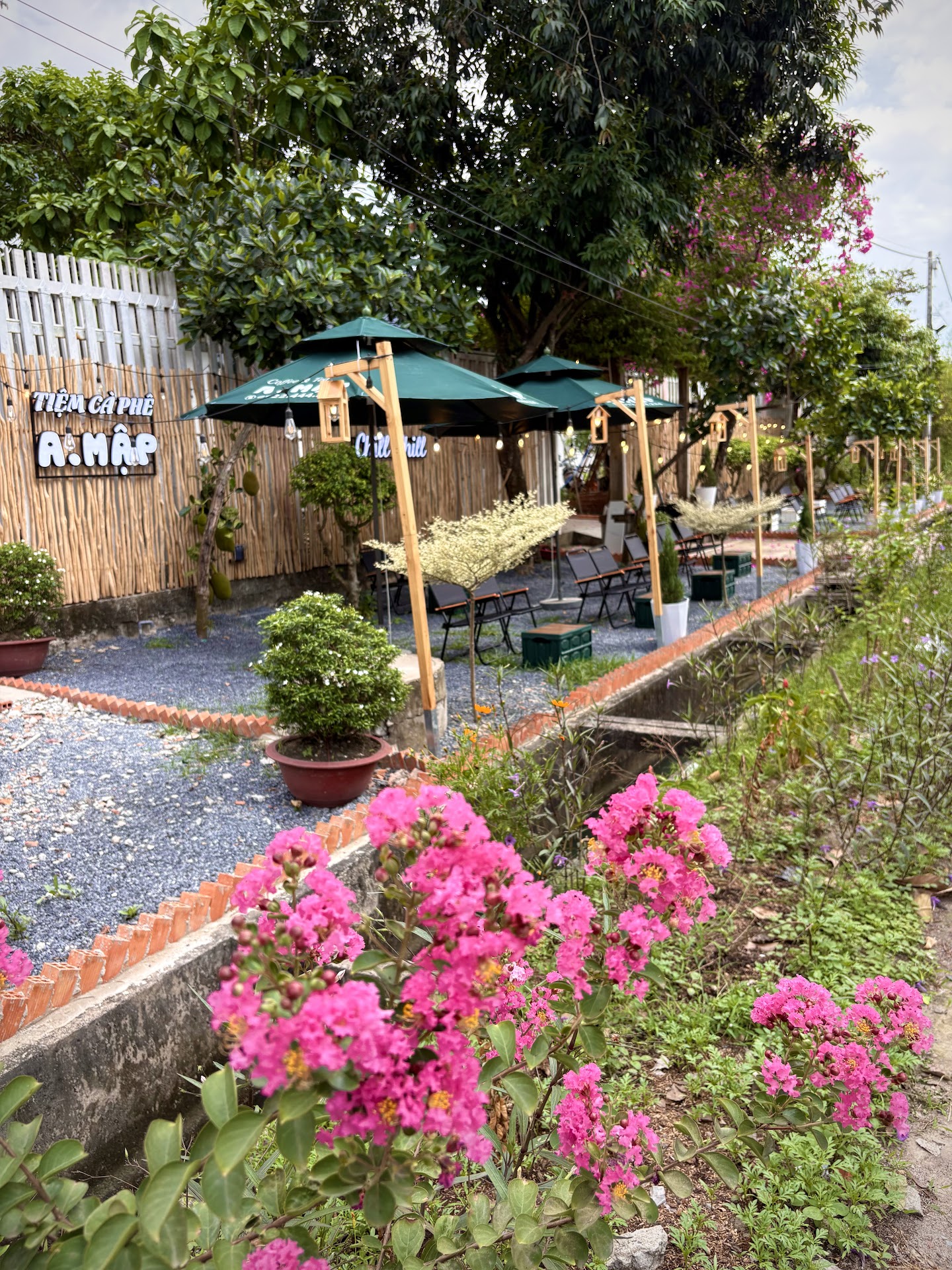 TIỆM COFFEE-TRÀ SỮA A MẬP